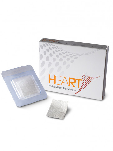 HEART Pericardium Membrane